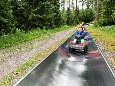 Sommerrodelbahn (Bischofsgruen, Fichtelgebirge)