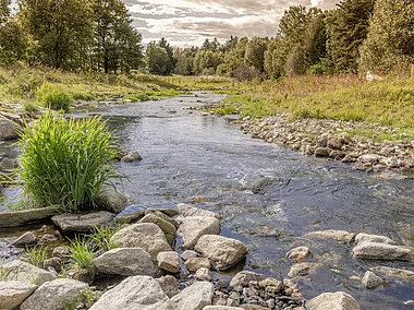 Selbbach (Selb, Fichtelgebirge)